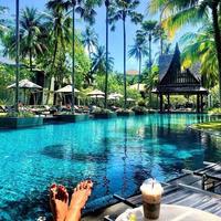 Отзыв от Олеся - DTV виза